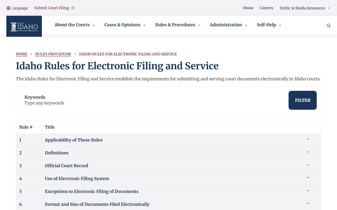 Payette County criminal court records Idaho e-filing redaction rules