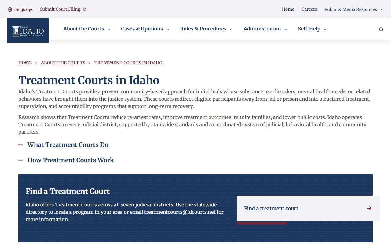 Payette County District Court Idaho treatment courts overview